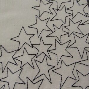 DG2 Pants Womens 24W White Star Embroidered Cropped‎ Raw Hem Stretch Jeans